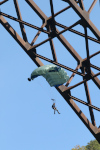 BridgeDay 2017 Photo #33