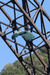 BridgeDay 2017 Photo #36