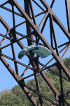 BridgeDay 2017 Photo #37